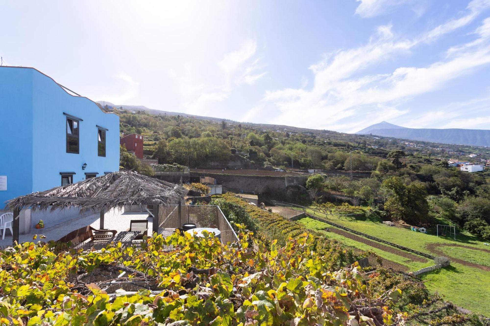 Ek Drago Finca El Milagro La Orotava Εξωτερικό φωτογραφία