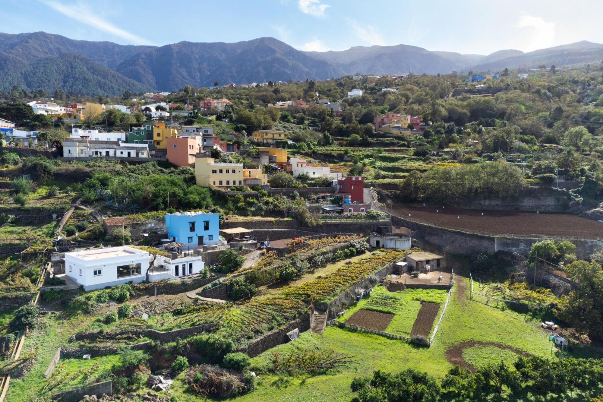 Ek Drago Finca El Milagro La Orotava Εξωτερικό φωτογραφία