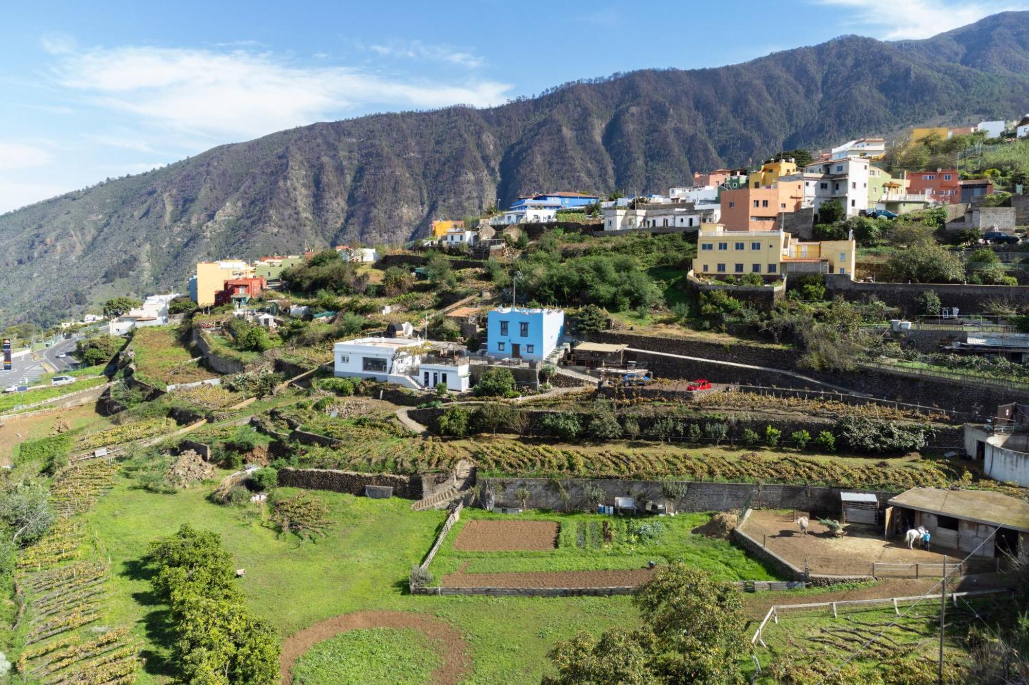 Ek Drago Finca El Milagro La Orotava Εξωτερικό φωτογραφία