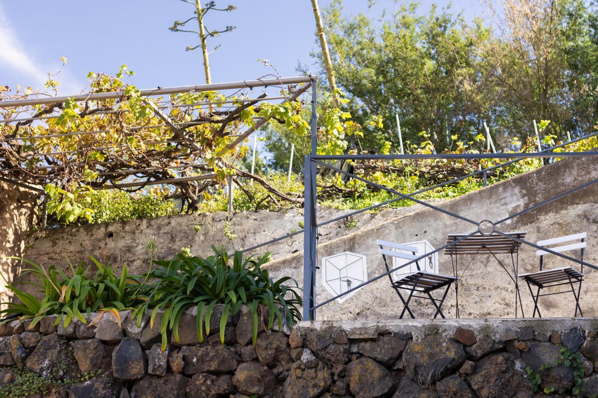 Ek Drago Finca El Milagro La Orotava Εξωτερικό φωτογραφία