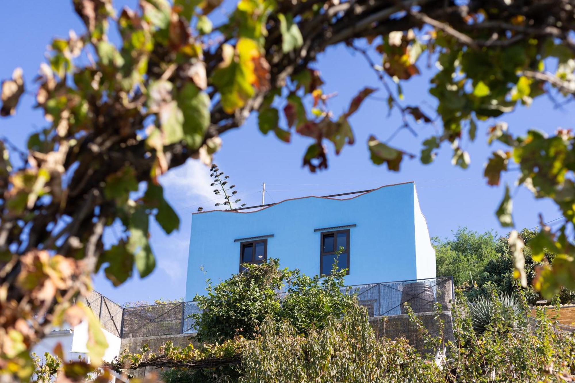 Ek Drago Finca El Milagro La Orotava Εξωτερικό φωτογραφία